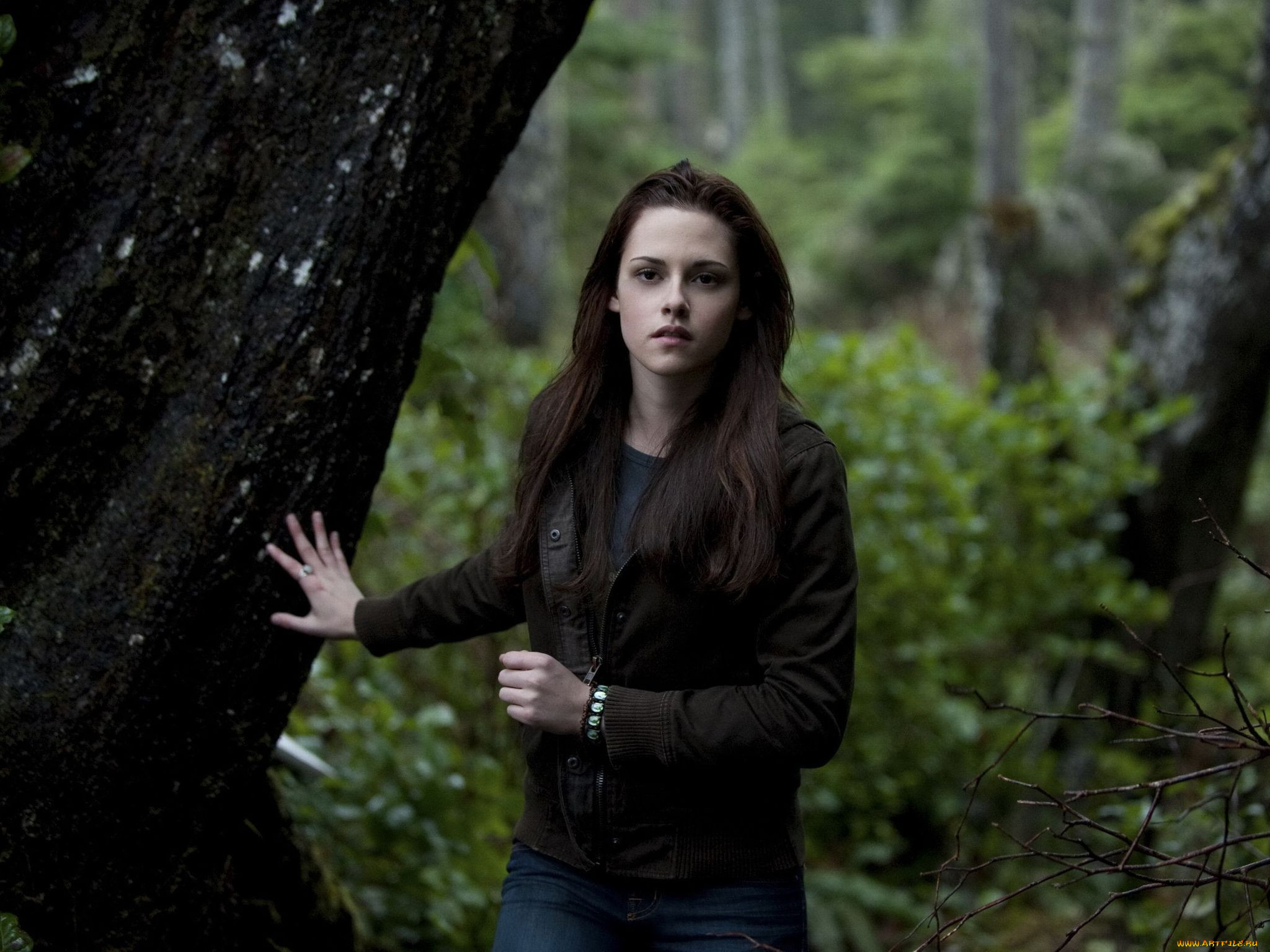 the, twilight, , 